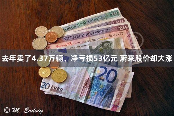 去年卖了4.37万辆、净亏损53亿元 蔚来股价却大涨