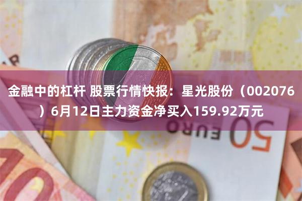 金融中的杠杆 股票行情快报：星光股份（002076）6月12日主力资金净买入159.92万元