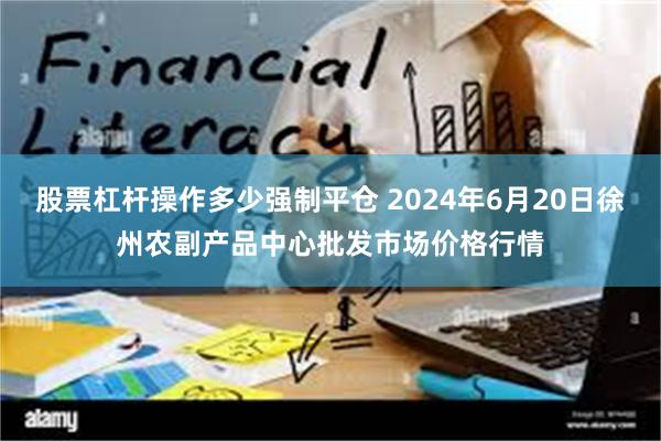 股票杠杆操作多少强制平仓 2024年6月20日徐州农副产品中心批发市场价格行情