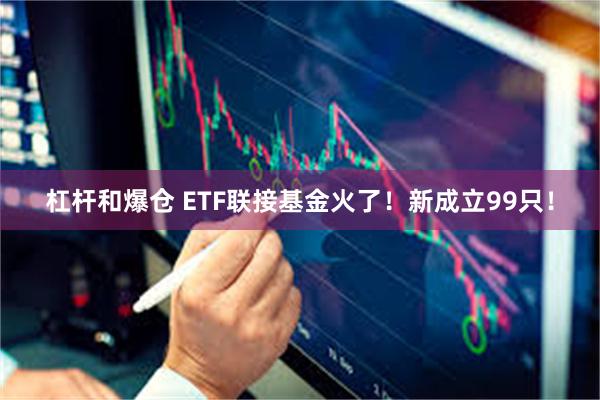 杠杆和爆仓 ETF联接基金火了！新成立99只！