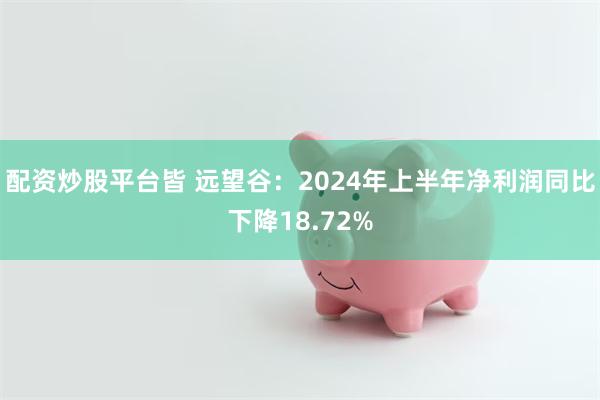 配资炒股平台皆 远望谷：2024年上半年净利润同比下降18.72%