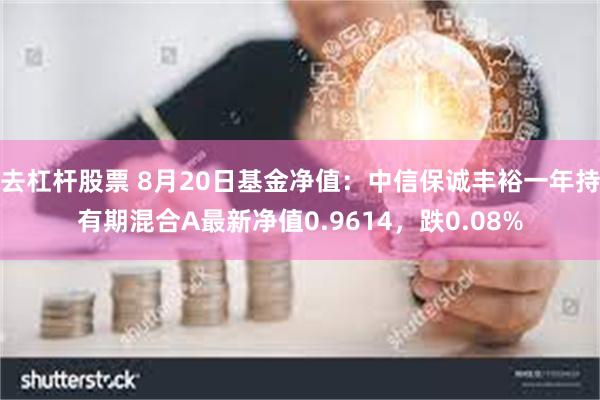 去杠杆股票 8月20日基金净值：中信保诚丰裕一年持有期混合A最新净值0.9614，跌0.08%