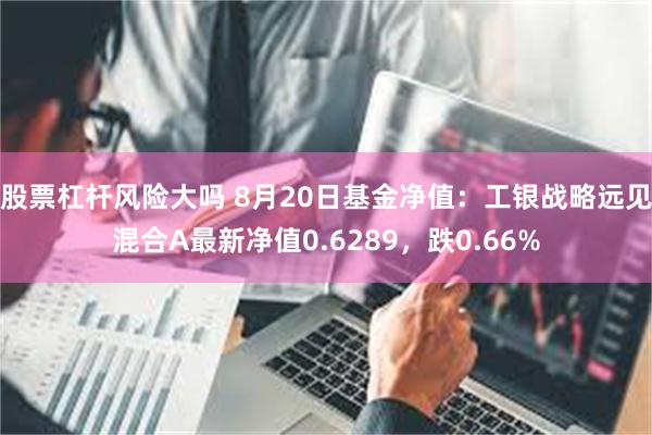 股票杠杆风险大吗 8月20日基金净值：工银战略远见混合A最新净值0.6289，跌0.66%