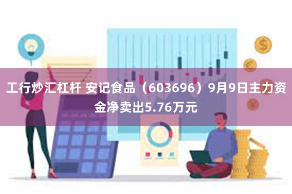 工行炒汇杠杆 安记食品（603696）9月9日主力资金净卖出5.76万元