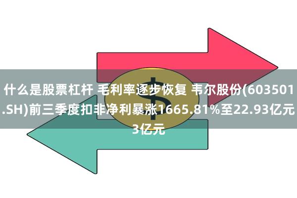 什么是股票杠杆 毛利率逐步恢复 韦尔股份(603501.SH)前三季度扣非净利暴涨1665.81%至22.93亿元