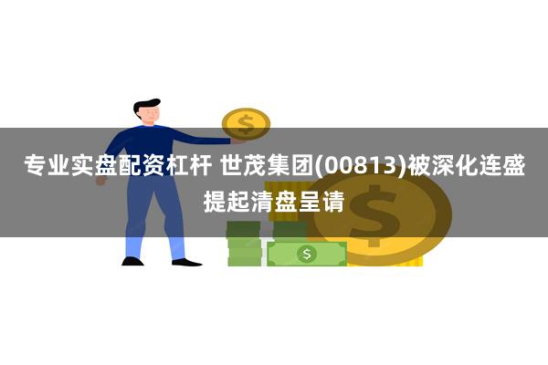 专业实盘配资杠杆 世茂集团(00813)被深化连盛提起清盘呈请