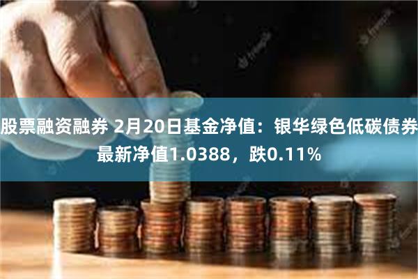 股票融资融券 2月20日基金净值：银华绿色低碳债券最新净值1.0388，跌0.11%